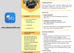 Taggy Yellow Resume